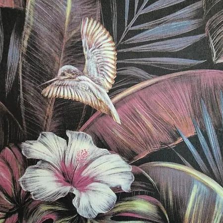 Maison Les Glycines Tatil Evi