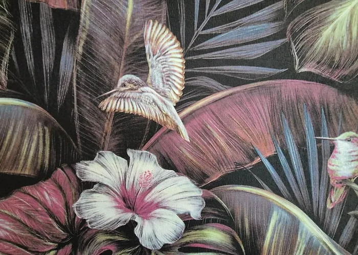 Maison Les Glycines 度假居